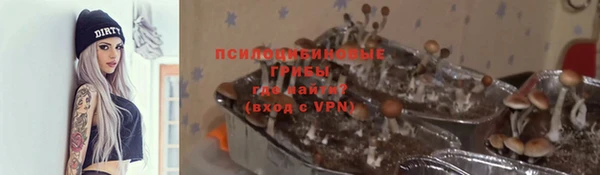 стаф Лабытнанги