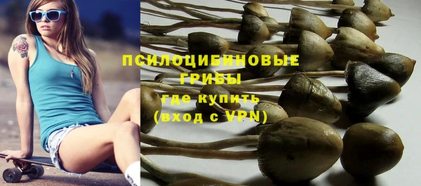 дурь Лагань