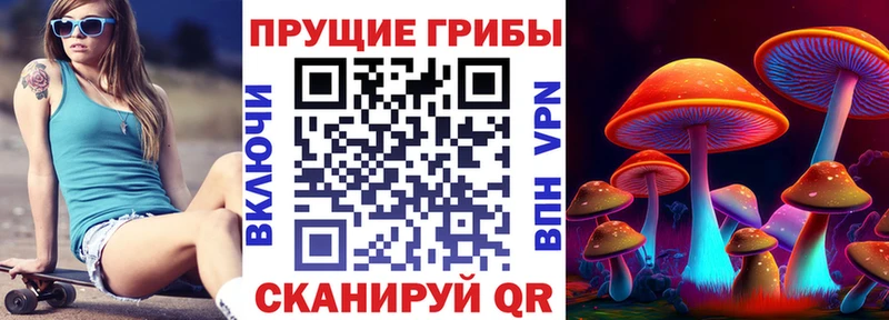 Галлюциногенные грибы Psilocybine cubensis  Воронеж 
