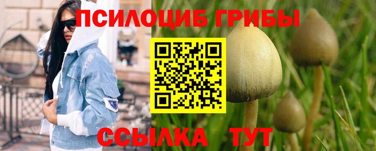 Воронеж  Галлюциногенные грибы Cubensis  Вход с VPN 
